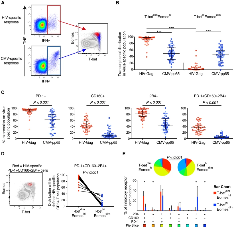HIV- and CMV-specific CD8+ T cell expression of inhibitory receptors and T-bet/Eomes in untreated HIV infection.