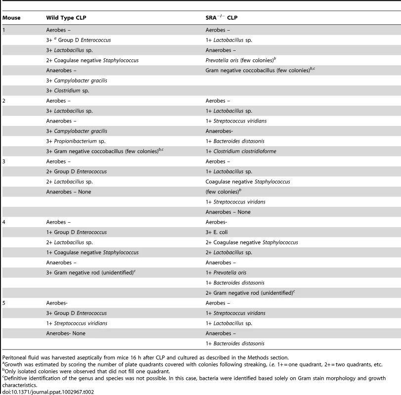 Comparison of bacterial content and growth characteristics of peritoneal fluid from wild type and SRA<sup>−/−</sup> mice 16 hours after CLP sepsis.
