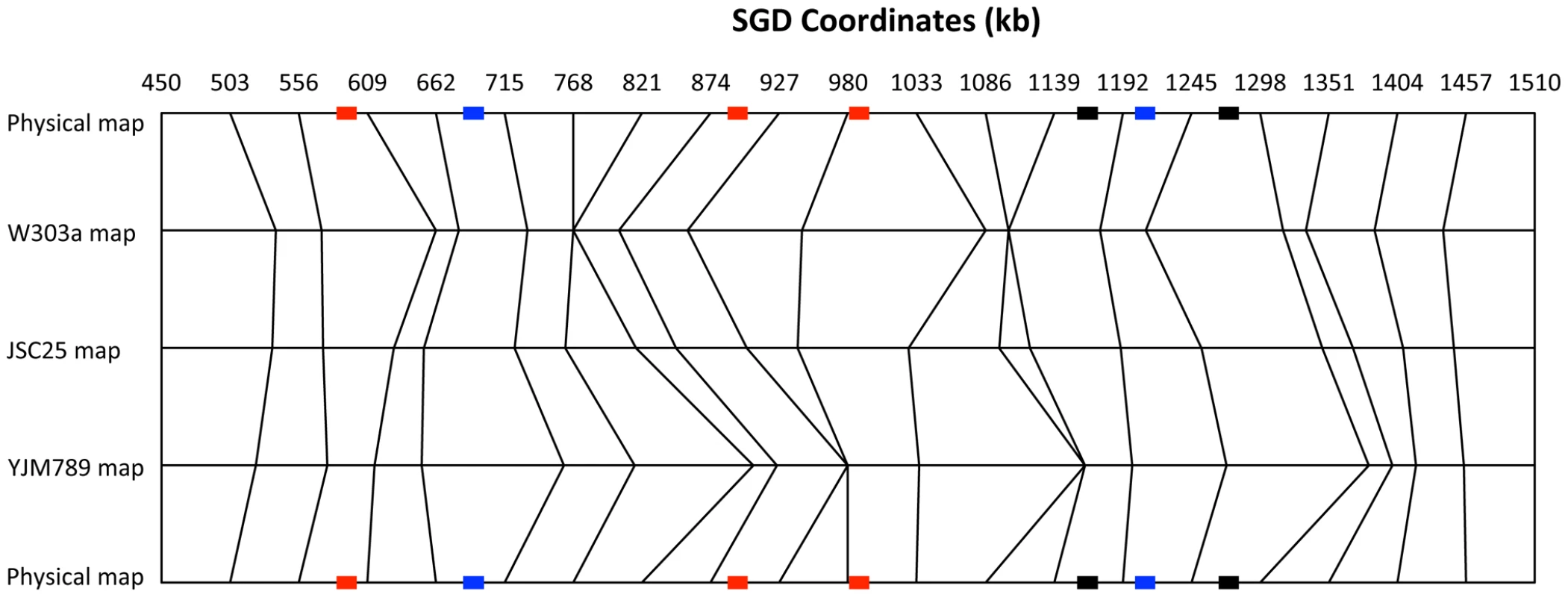 Comparison of physical and genetic mitotic recombination maps.