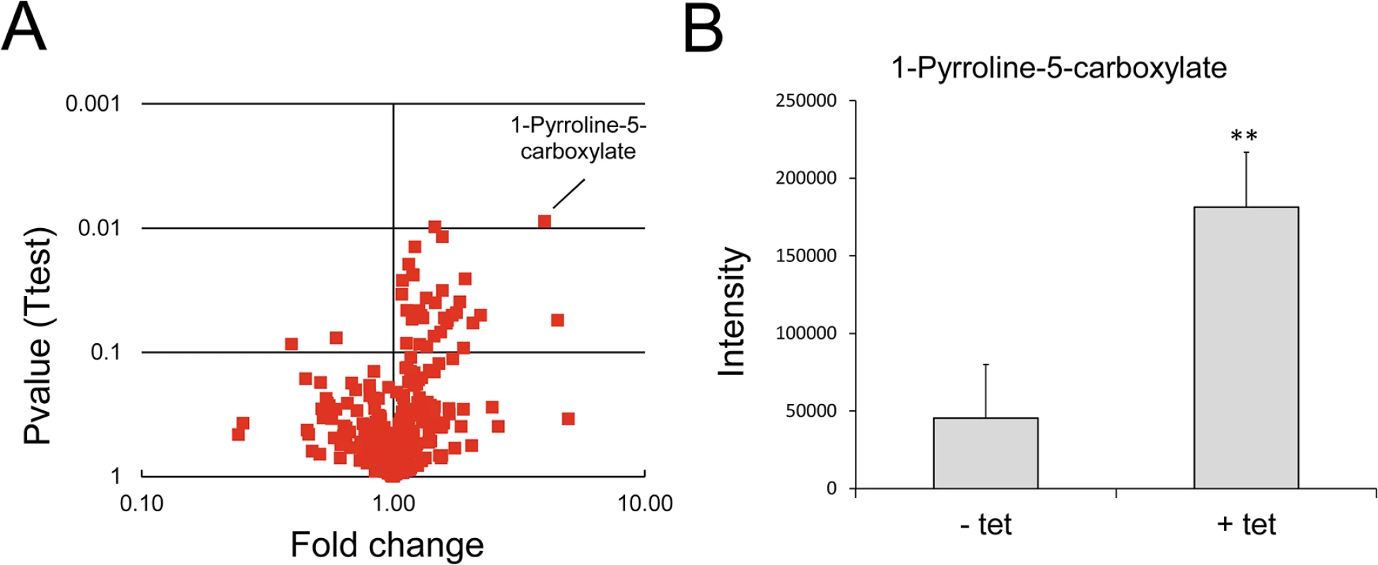 Analysis of metabolites after over-expression of TbMCP14 in procyclic forms.