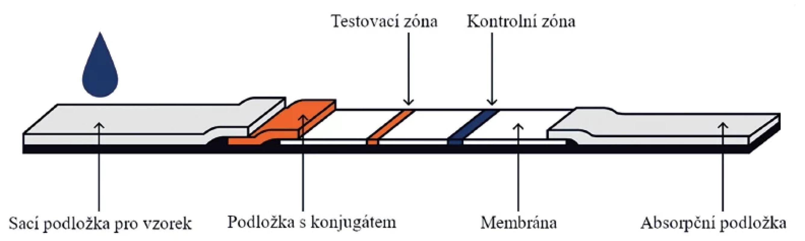 Struktura diagnostického testu založená na imunochromatografické reakci (lateral flow test). Převzato a upraveno se souhlasem společnosti Cytiva© (13)
