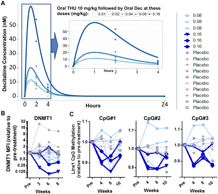 Pharmacokinetics (PK) and pharmacodynamics (PD) of oral tetrahydrouridine (THU)-decitabine.