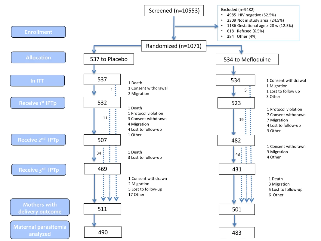 Trial profile (ITT cohort).