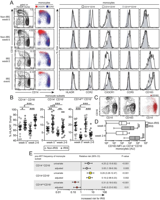 Dynamics of circulating monocyte subsets in TB-HIV co-infected patients following ART initiation.