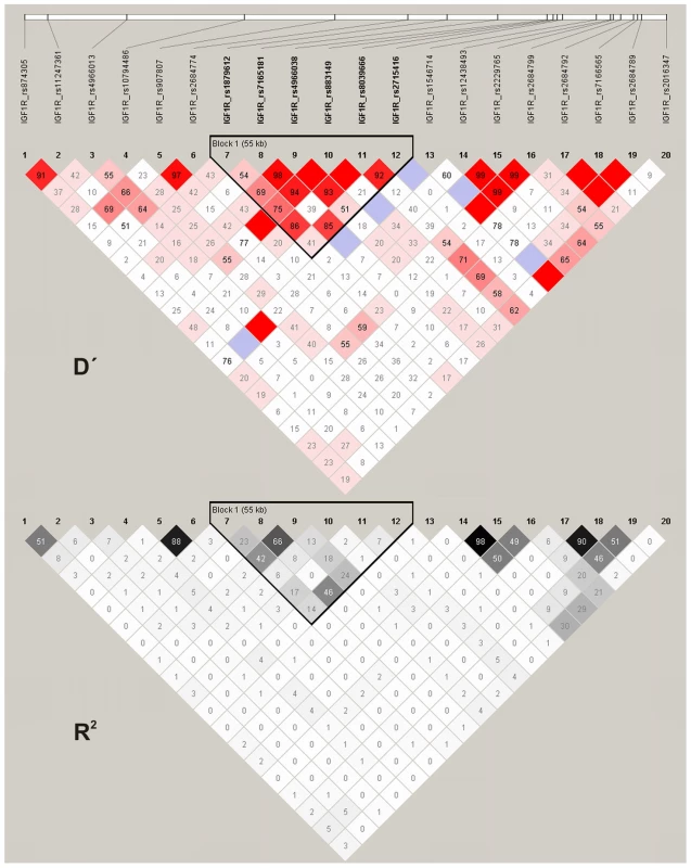 Pairwise D prime and <i>r</i><sup>2</sup> LD plots of <i>IGF1R</i> SNPs in the association analysis.