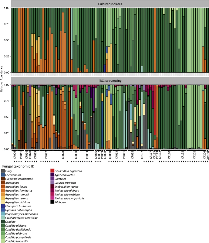 Portrait of the cystic fibrosis lung mycobiome.
