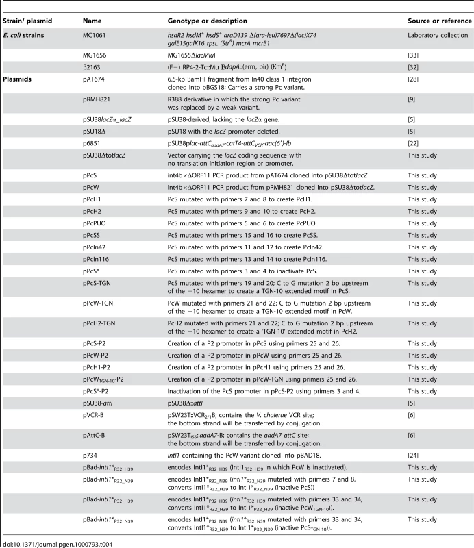 Bacterial strains and plasmids used in this study.