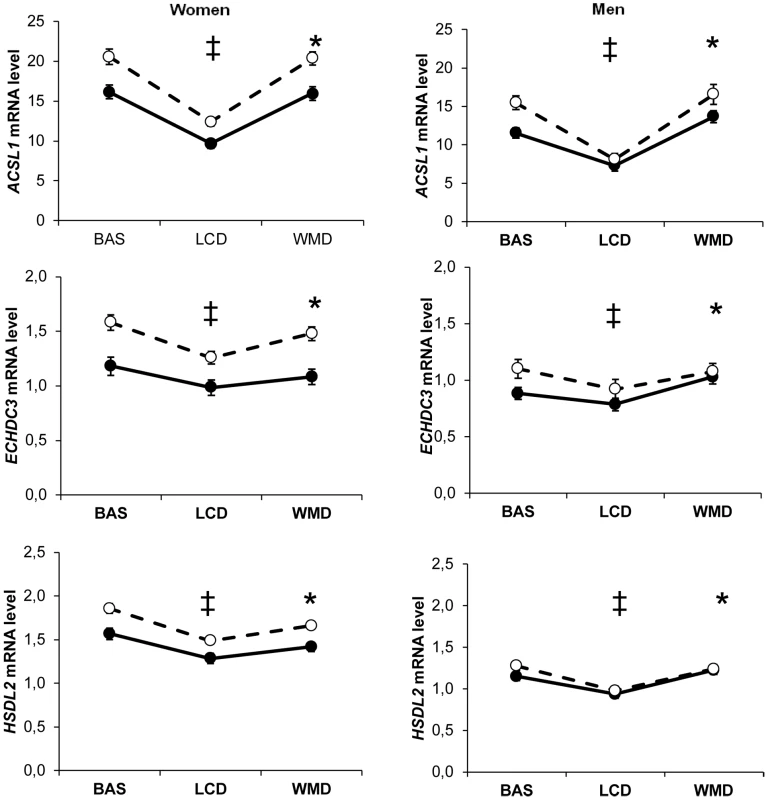 Most representative adipose tissue gene expression profiles according to dietary intervention, sex, and metabolic syndrome.
