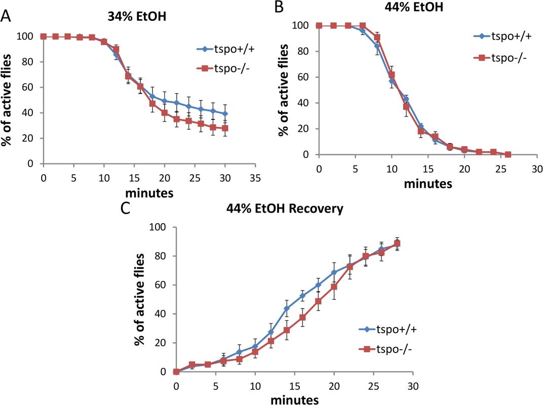 Comparable ethanol sensitivity in female <i>tspo</i>-/- and <i>tspo</i> +/+ flies.