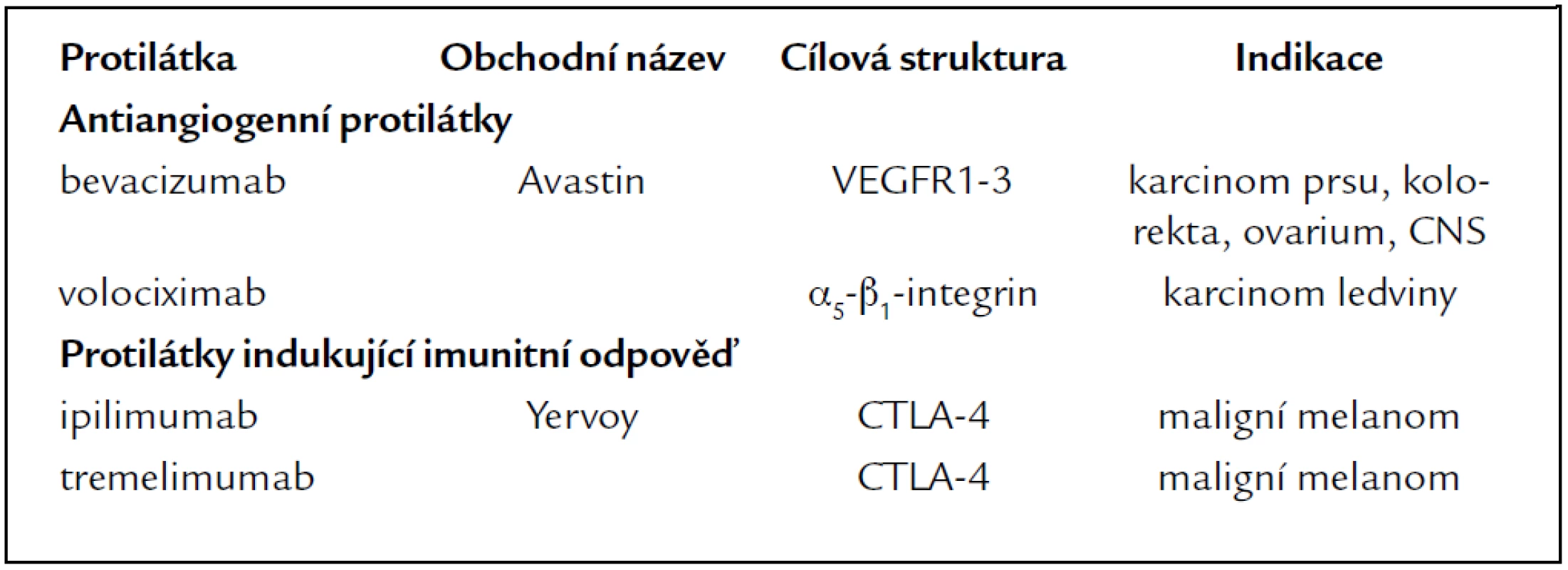 Antiangiogenní protilátky a protilátky indukující imunitní odpověď.