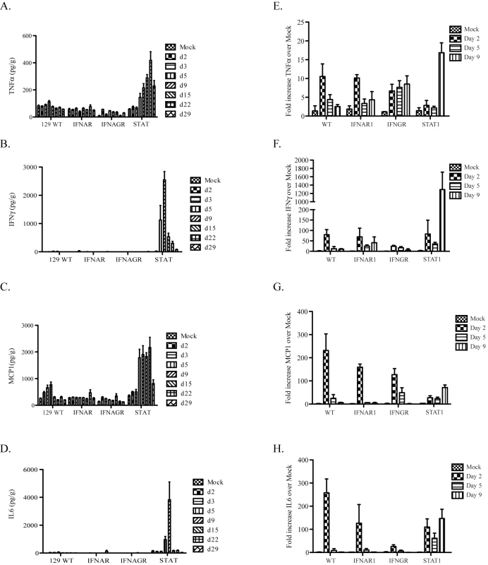 Protein and gene expression analysis of cytokines.