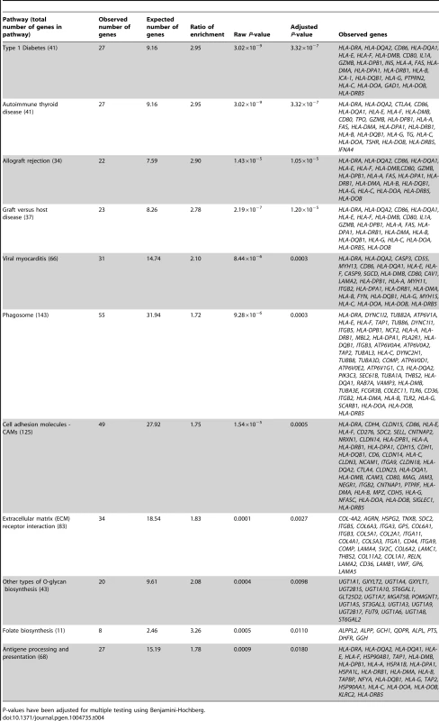 KEGG pathways with enrichment of genes annotated to CpG sites of significant <i>cis</i>-mQTLs in human pancreatic islets.