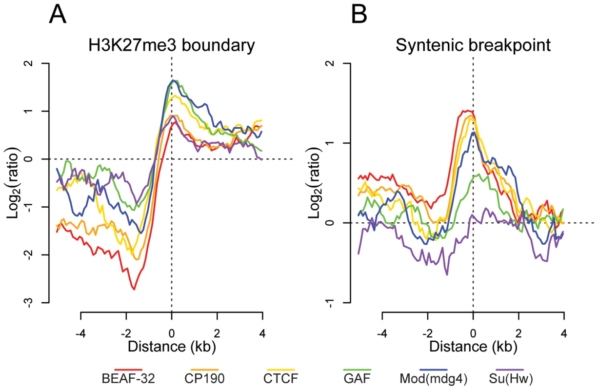 Insulator proteins mark chromatin and syntenic block boundaries.