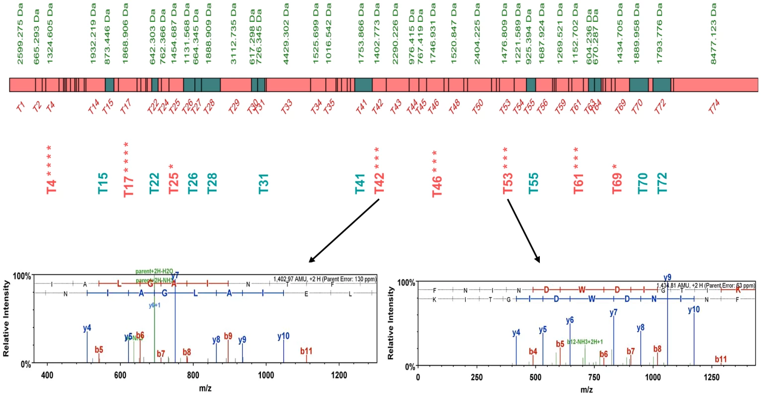 Peptide map of the <i>S. uvarum</i> Sec63p.