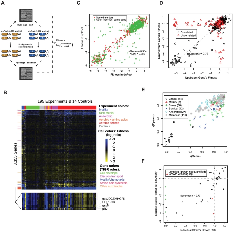 A <i>S. oneidensis</i> MR-1 mutant fitness compendium.