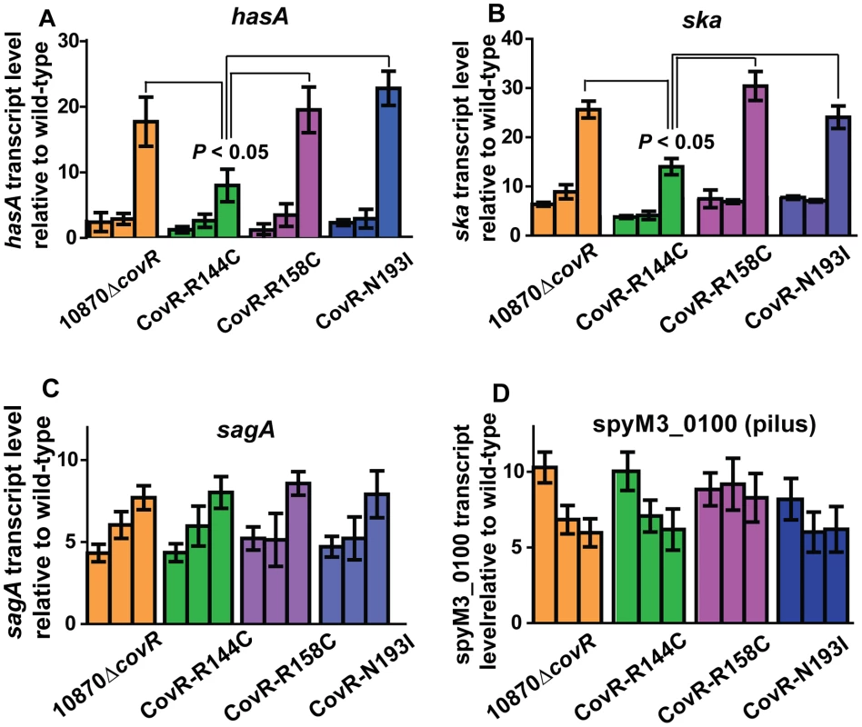 Influence of CovR single amino replacements on transcript level is gene and growth phase dependent.