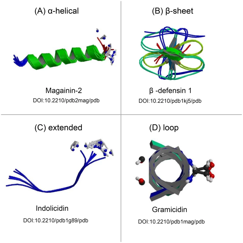 Protein models representing the structural differences of the four classes of antimicrobial peptides.