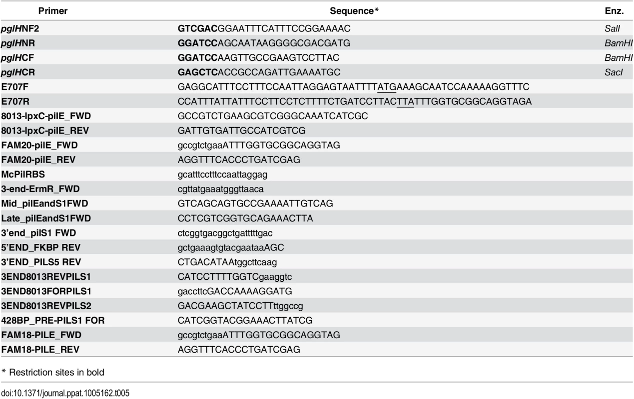 Oligonucleotides used in this study.