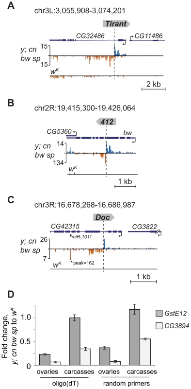 TE insertions induce piRNA production from the nearby genes.