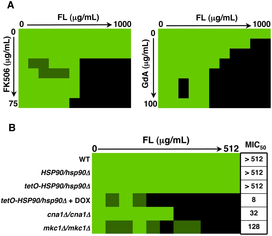 Inhibition of Hsp90 function dramatically enhances the efficacy of fluconazole against <i>C. albicans</i> biofilms in vitro.