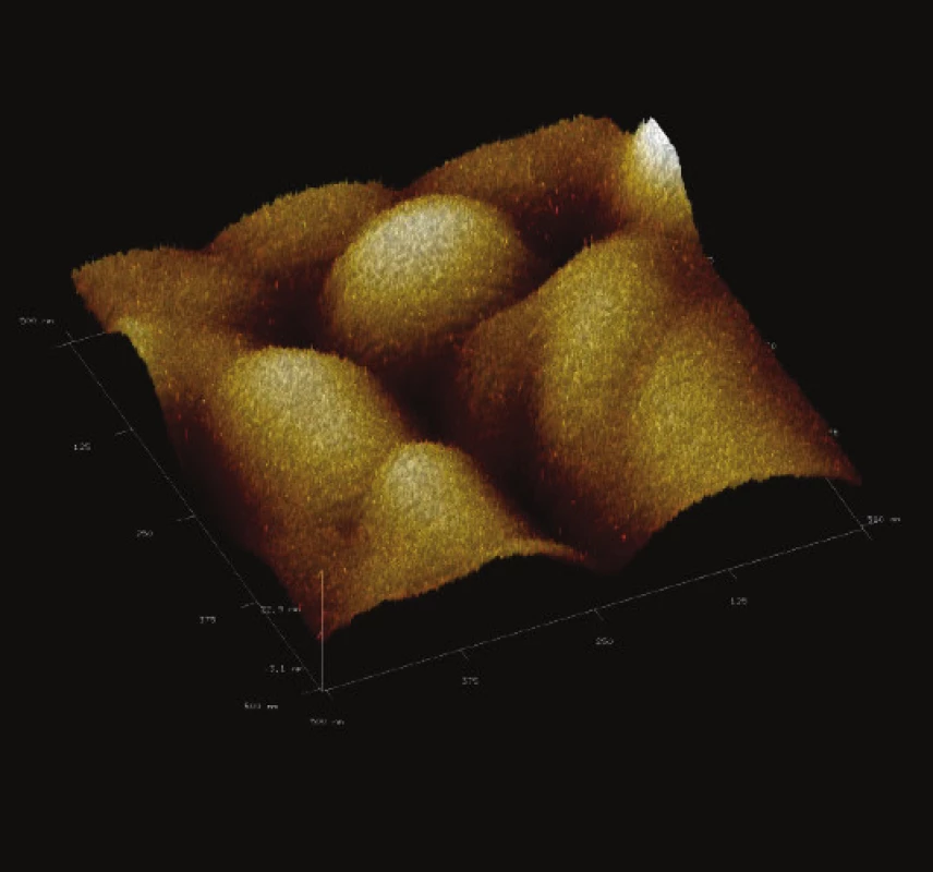 3-D zobrazení jemného detailu povrchové struktury magnetického nosiče MPG – STV coated. Vložené měřítko odpovídá 50 nm. Skenovaná oblast 500x500 nm<sup>2</sup>, Z – rozsah 27 nm.