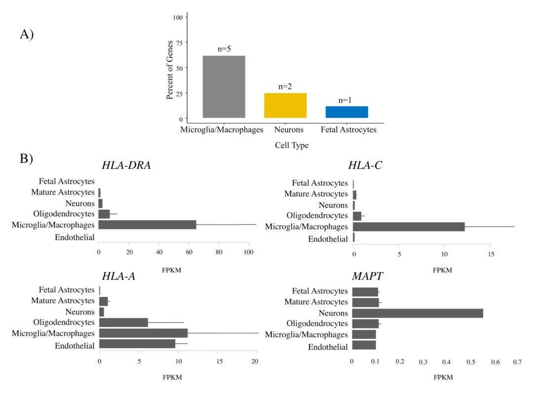 Microglia enrichment in genes associated with frontotemporal dementia (FTD) and immune-mediated disease.
