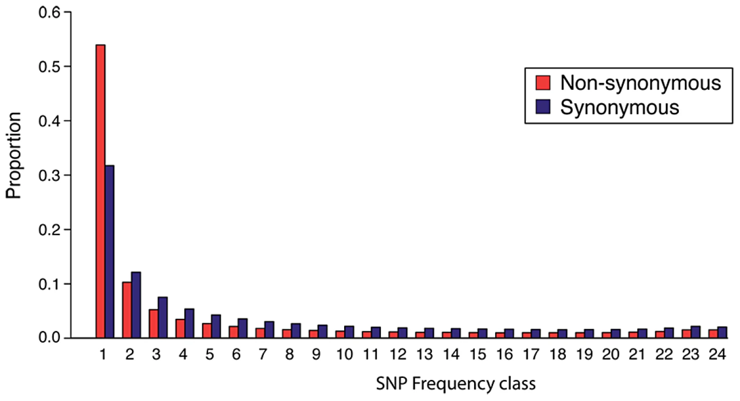 The site frequency spectrum of <i>A. arenosa</i>.