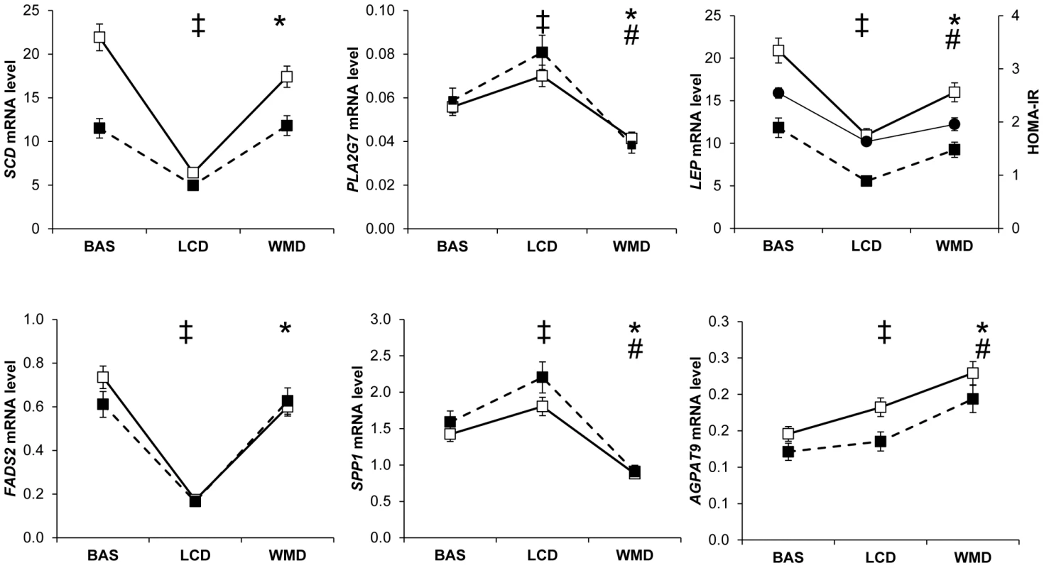 Most remarkable profiles of adipose tissue gene expression during a dietary weight loss program.