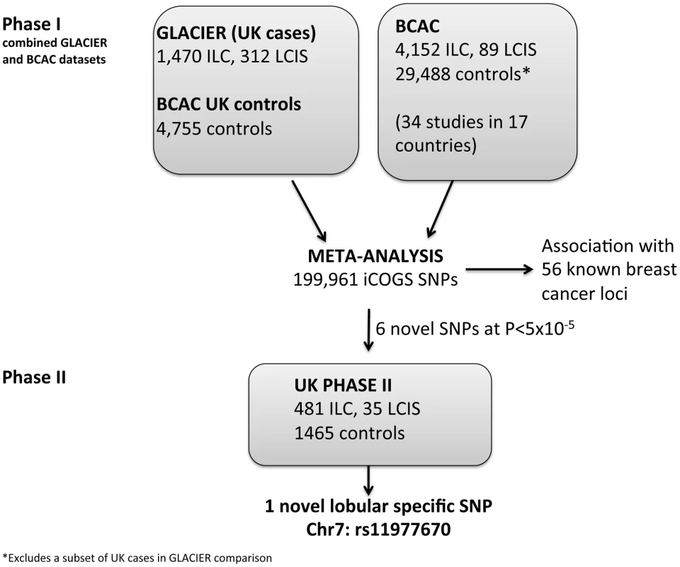 Lobular cancer study design.