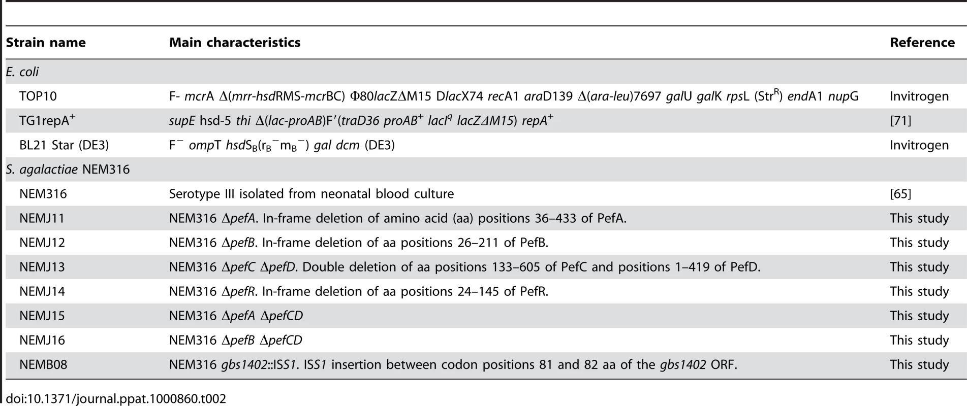 Strains used in this study.