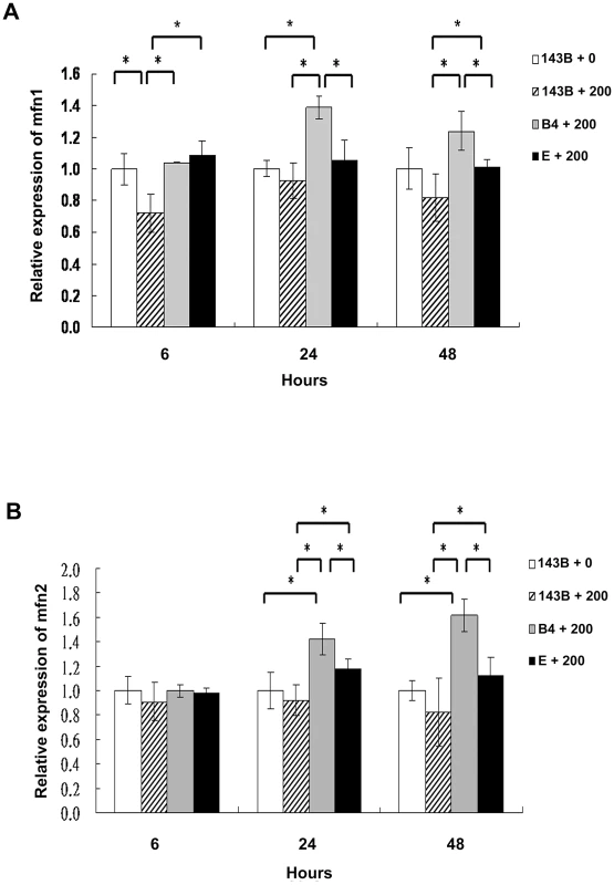 Analysis of the mitochondrial fusion molecules expression in the parental 143B cells, and cybrid B4 and E cells after the bile acid treatment.