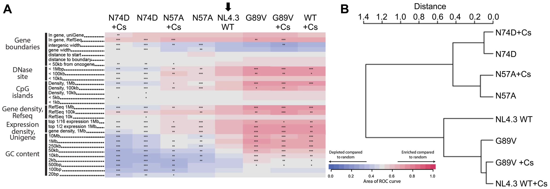 CypA inhibition alters HIV-1 integration site targeting.