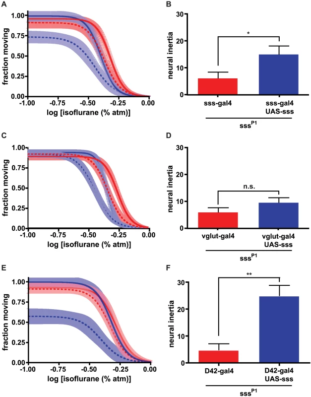 Neuroanatomic dissociation of neural inertia and anesthesia induction is unmasked by restoration of <i>sss</i> expression in different regions of the brain.