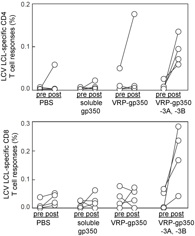 Detection of rhesus LCV-specific CD4 and CD8 T cell responses to gp350 or EBNA-3A and EBNA-3B in rhesus monkeys.
