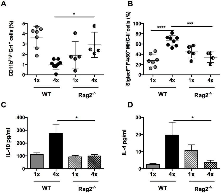 Lack of CD4<sup>+</sup> T cells ablates IL-10 production induced in skin exposed to <i>S</i>. <i>mansoni</i> cercariae.