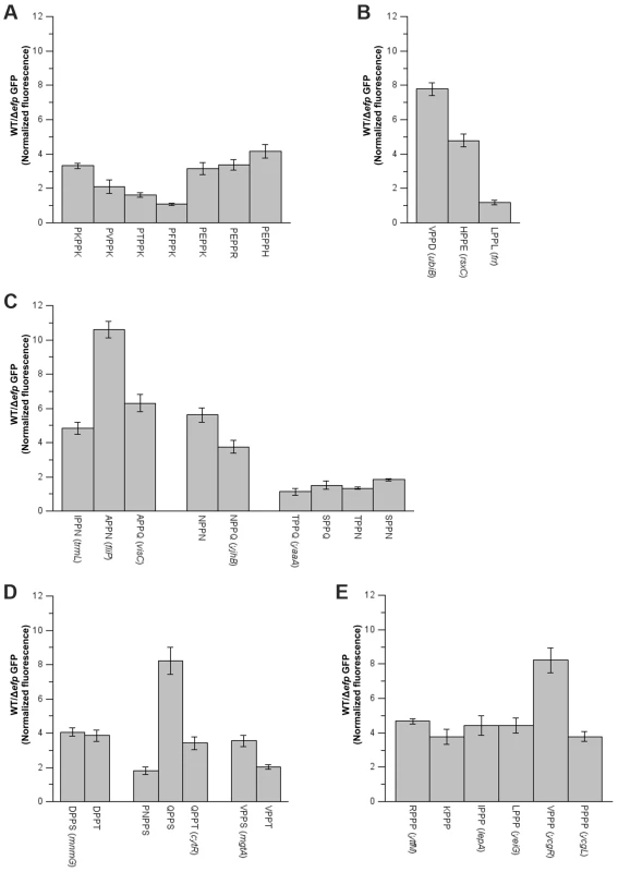 Effect of amino acids preceding PPX on pausing efficiency.