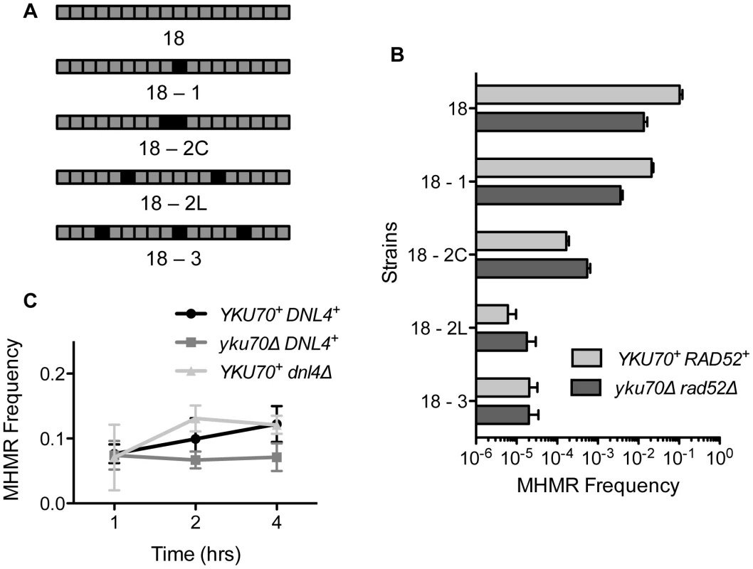 Mismatched microhomology inhibits repair efficiency, but NHEJ does not inhibit MHMR.