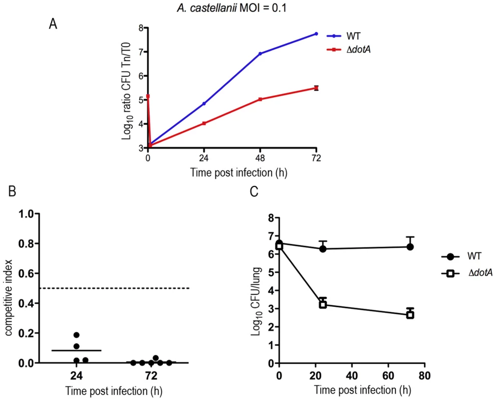 Intracellular growth of the wild-type and the <i>dotA</i> mutant strain in mouse and amoeba infection.