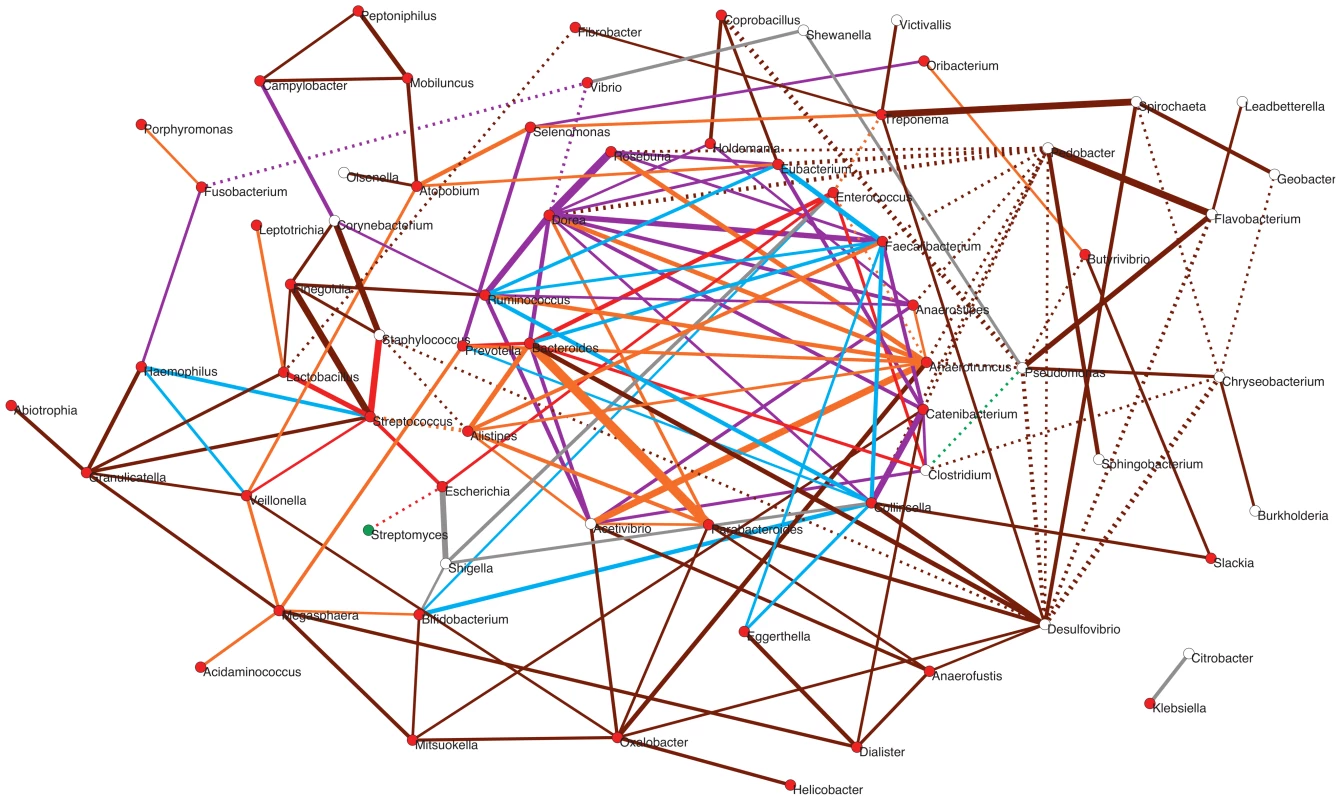 Potential taxon interactions during assembly of the gut microbiota.