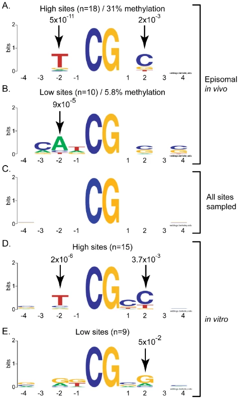 DNMT3A shows selectivity for residues flanking the target CpG site at positions −2 and +2.