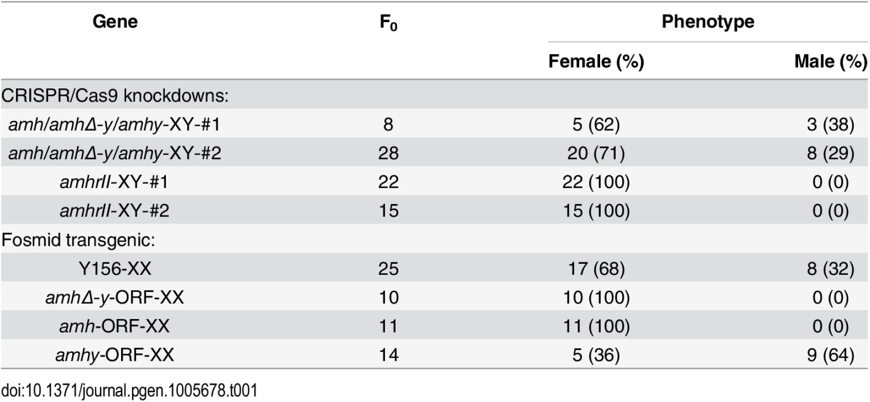 Phenotype of genetically modified fish produced in this study.