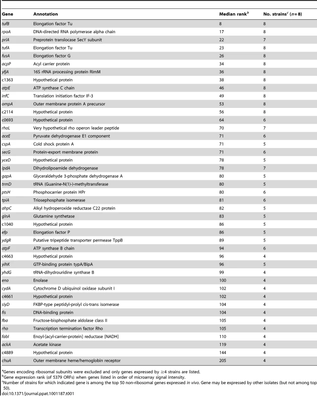 Genes among the top 50 non-ribosomal genes expressed by at least half of clinical isolates <i>in vivo</i><em class="ref">a</em>.