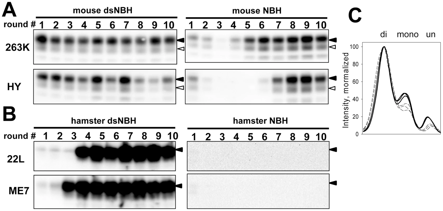 De-sialylation of PrP<sup>C</sup> reduces species barrier in PMCAb.