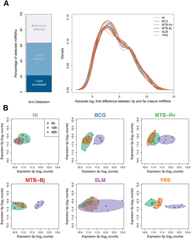 Changes in relative miRNA arm expression upon infection.