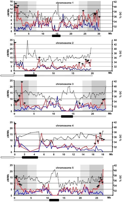 CO distribution and GC% along the five chromosomes.