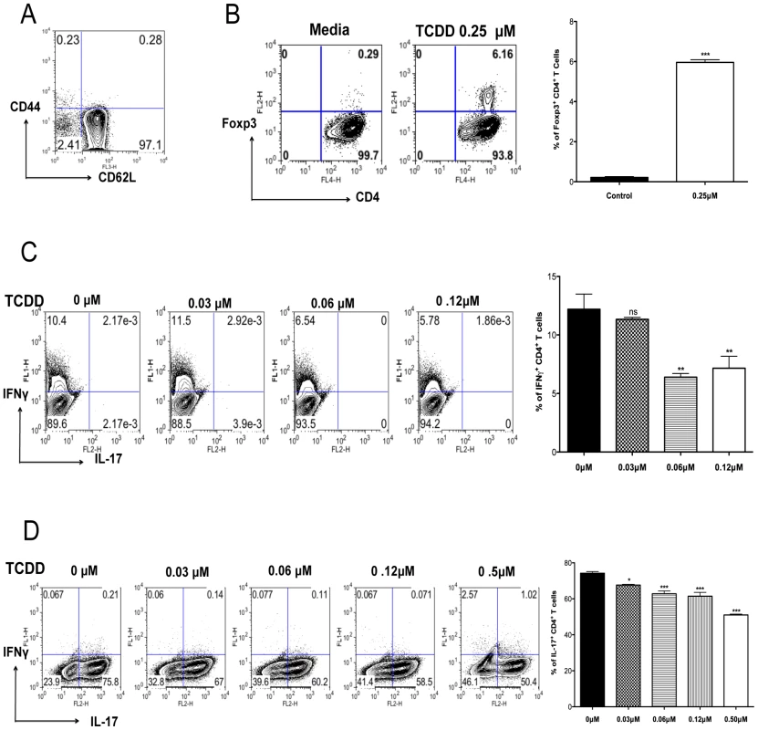 TCDD promotes Treg differentiation whereas diminishes Th1 and Th17.