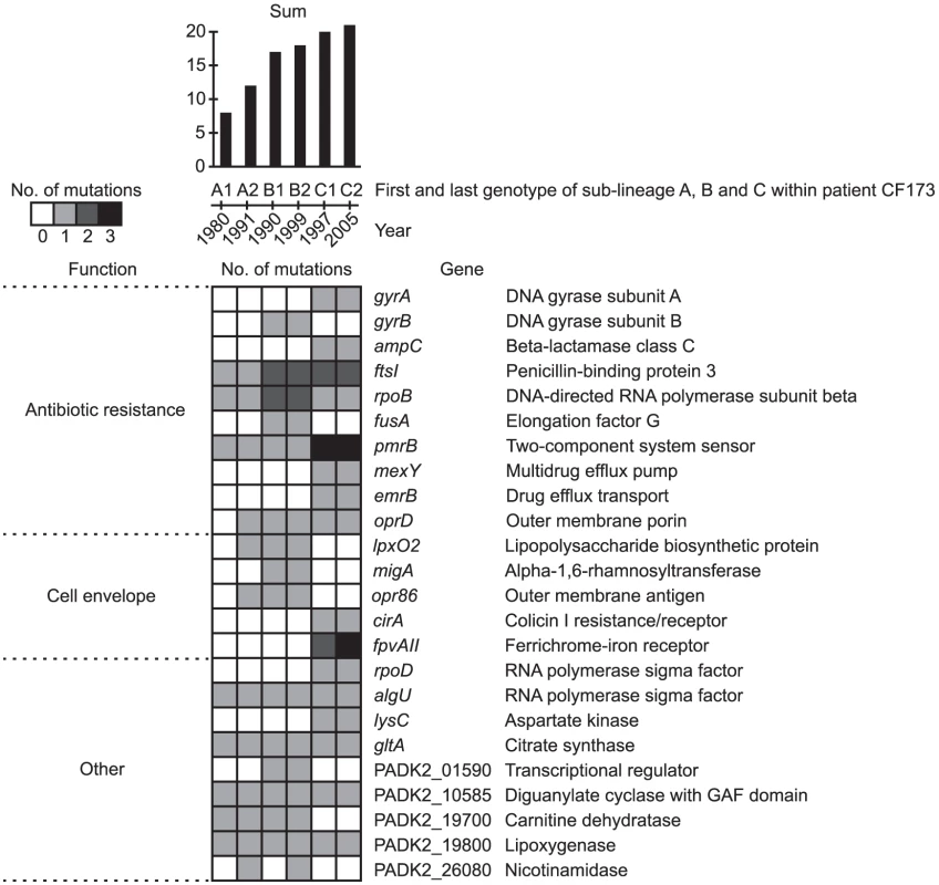 Pathoadaptive genes.