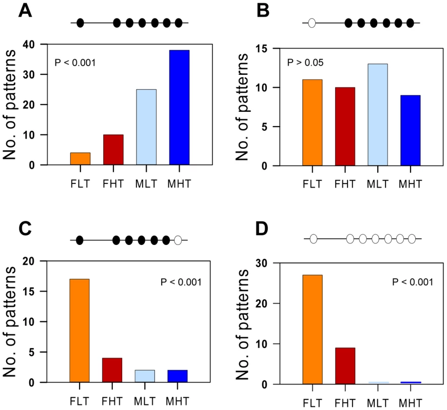Absolute frequency of the four most frequently observed methylation patterns of the sb <i>cyp19a</i> promoter by sex and temperature treatment.