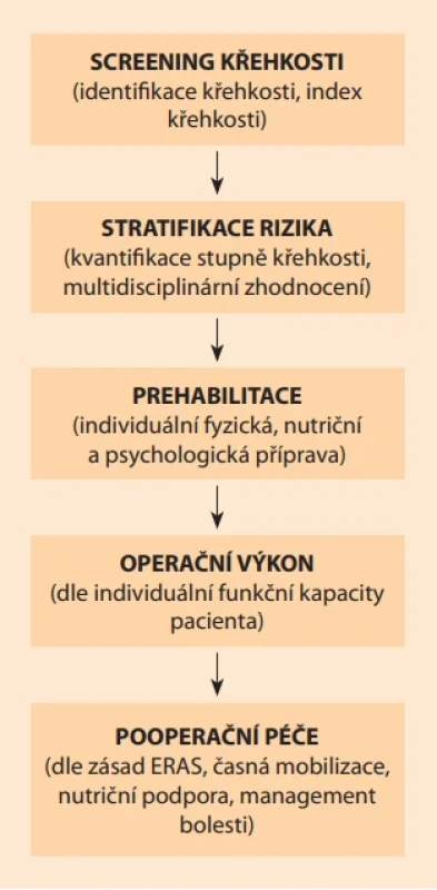 Algoritmus perioperačního managementu křehkého pacienta. Fig. 2. Algorithm for the perioperative management of frail patients.
