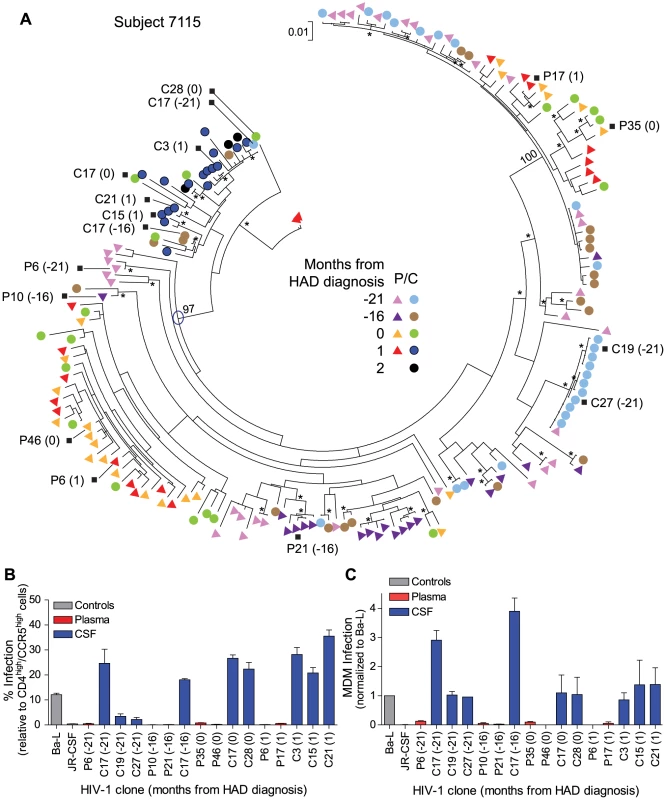 Macrophage-tropic HIV-1 variants in the CSF/CNS can be detected prior to the development of severe dementia.